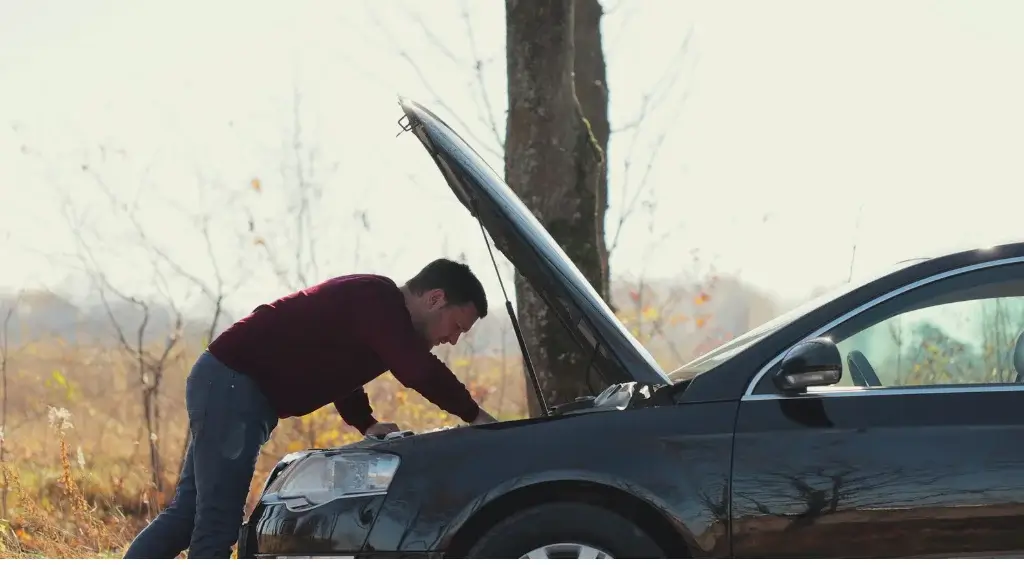 problemas em carros importados